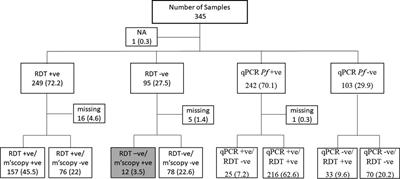 Low frequency of Plasmodium falciparum hrp2/3 deletions from symptomatic infections at a primary healthcare facility in Kilifi, Kenya